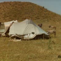 Nomad：从马背游牧到数字游牧